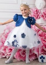 Bolero to the ball dress to the knee for a girl