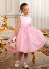 Ang damit ng pagtatapos sa kindergarten pink lush