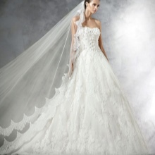 Kasal damit mula sa Pronovias lace