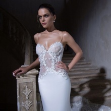 frank wedding dress na may isang transparent corset
