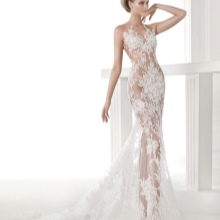 Ang translucent na damit ng kasal ni Pronovias