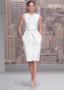 Wedding dress case