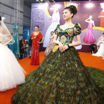 Mahal ang mahal na damit na gawa sa mga balahibo ng peacock