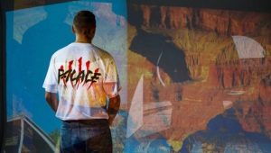 Palace Skateboards