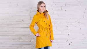 Dilaw na parka