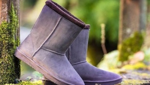Uggs waterproof