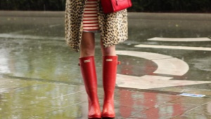 Mataas na goma boots