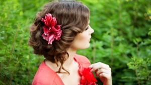 Bulaklak ng Bulaklak