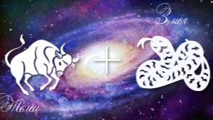 Taurus-Snake male: personality traits and compatibility
