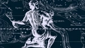 Male Aquarius-Rooster: Paglalarawan ng pagkatao at pakikipag-ugnayan