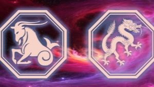 Babae Capricorn ipinanganak sa taon ng Dragon: katangian at pagiging tugma