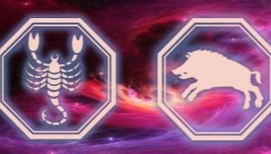 Mga katangian ng isang Scorpio babae na ipinanganak sa taon ng Boar