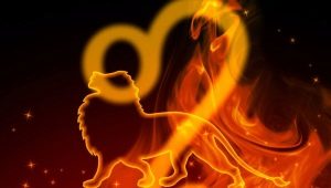 What zodiac sign suits Leo?