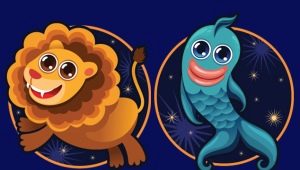 Leo and Pisces: Relationship Characteristics and Compatibility