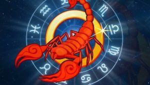 Lalaki Scorpio, ipinanganak sa Taon ng Tandang: compatibility at paglalarawan