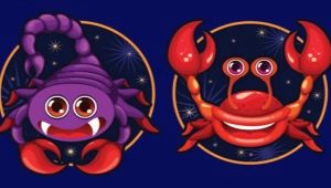 Scorpio and Cancer: isang katangian ng unyon ng mga palatandaan ng Tubig at mga posibleng problema sa mga relasyon