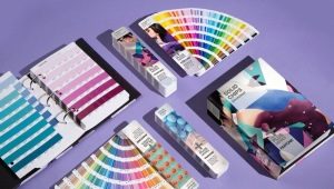 Lahat ng kailangan mong malaman tungkol sa Pantone