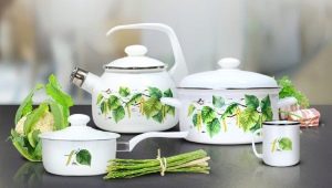 Enamelware: ang pinakamahusay na mga tagagawa, pamantayan ng pagpili