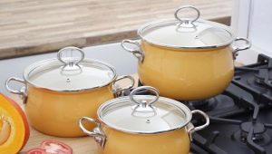 German pans: pros, cons and manufacturer review