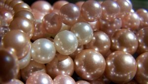 Mga rosas na perlas: paglalarawan at mga katangian