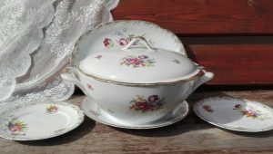 Kahla Porcelain: types, tips on choosing and caring for dishes