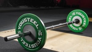 Barbell Vultures: Mga Uri, Timbang, Sukat, at Mga Tip para sa Pagpili