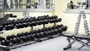 Dumbbell Racks: Mga Pagkakaiba-iba at Mga Alituntunin sa Pinili