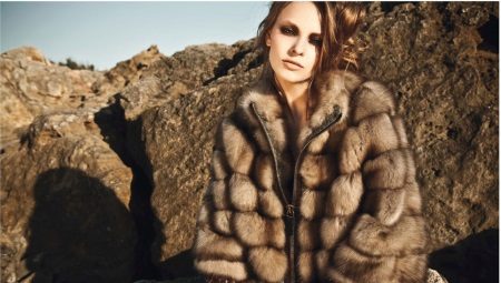 Ferret coat