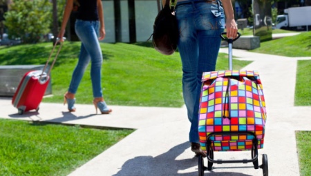 Trolley bag