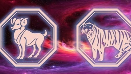 Mga katangian ng mga lalaki Aries-Tigris
