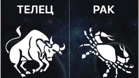 Kanser at Taurus: mga palatandaan ng compatibility ng zodiac sa mga relasyon at negosyo
