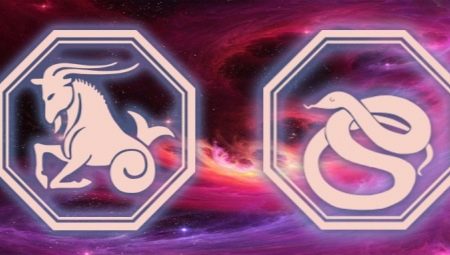  Mga Katangian ng Capricorn Men, ipinanganak sa taon ng ahas