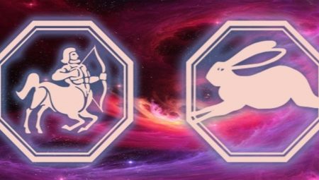 Mga katangian ng lalaki Sagittarius, na ipinanganak sa taon ng Kuneho