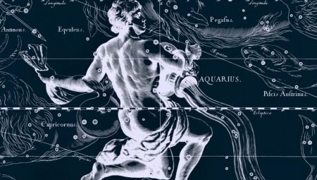 Male Aquarius-Rooster: personality description and interaction
