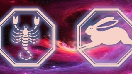 Characteristics and compatibility of the male Scorpion, born in the year of the Rabbit