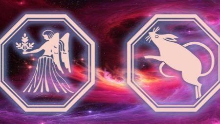  Ang katangian ng lalaki ng Virgo, ipinanganak sa taon ng daga