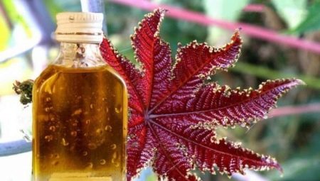 Use of castor oil in cosmetology