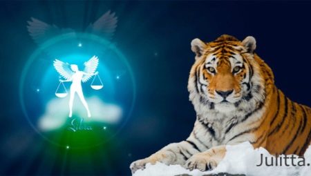 Lalaki Libra-Tigre: katangian at pagiging tugma