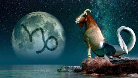 Pagkakatugma ng Capricorn sa isa pang kinatawan ng gayong marka at pag-asam ng isang kasal