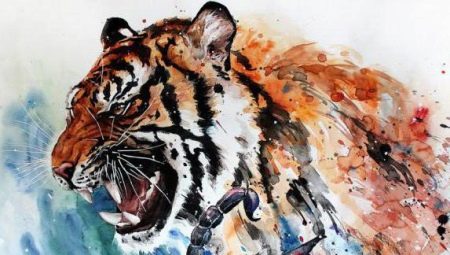 Scorpio Woman Born in the Year of the Tiger: Characteristic and Compatibility
