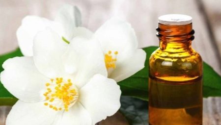 Jasmine Essential Oil - Mga Katangian at Mga Tip sa Application