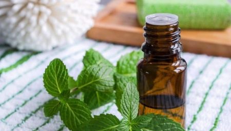 Menthol oil: mga katangian at tampok ng paggamit