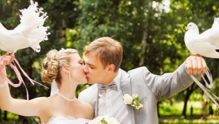 Pigeons at the wedding - all about the features of the tradition