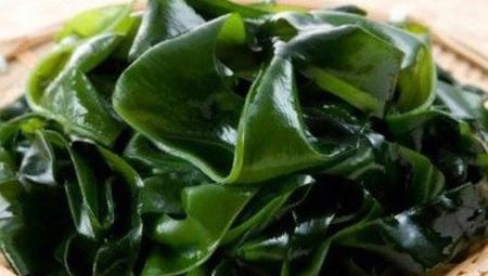 Laminaria wrap: mga benepisyo, pinsala at panuntunan