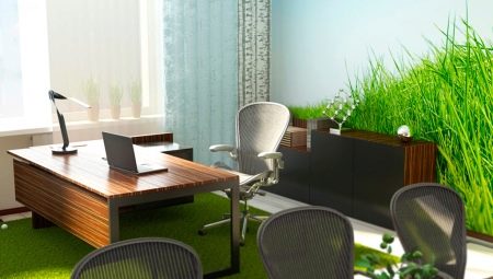 Ano ang dapat na lugar ng trabaho para sa Feng Shui?