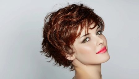 Female haircut American short hair