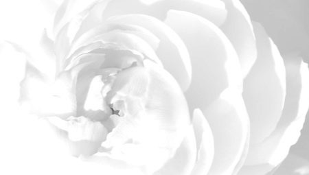 White color sa psychology: ano ang ibig sabihin nito at simbolo?