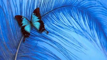 Blue color in psychology: what does it mean and symbolize?