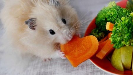 What eat domestic rodents?