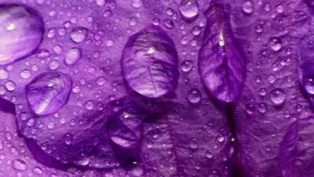 Ano ang ibig sabihin ng kulay na purple sa sikolohiya?